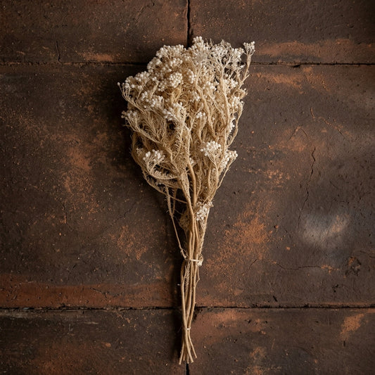 Frosted Pearl Berry Dried Floral Bundle