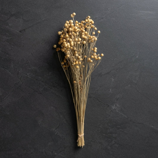 Natural Flax Pod Botanical Bundle
