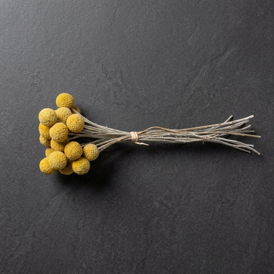 Golden Billy Button Dried Floral Bundle