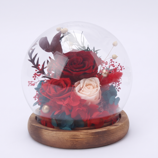 Crimson Eternal Rose Dome — front view on white background