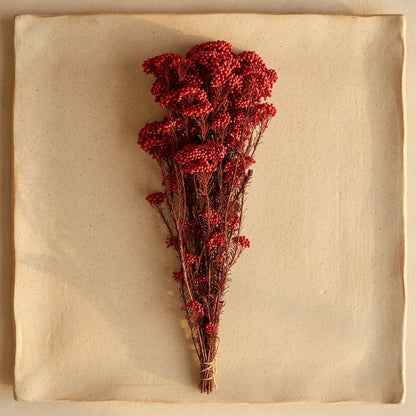 Crimson Berry Cluster Dried Arrangement